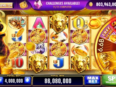 Sports Betting Interface
